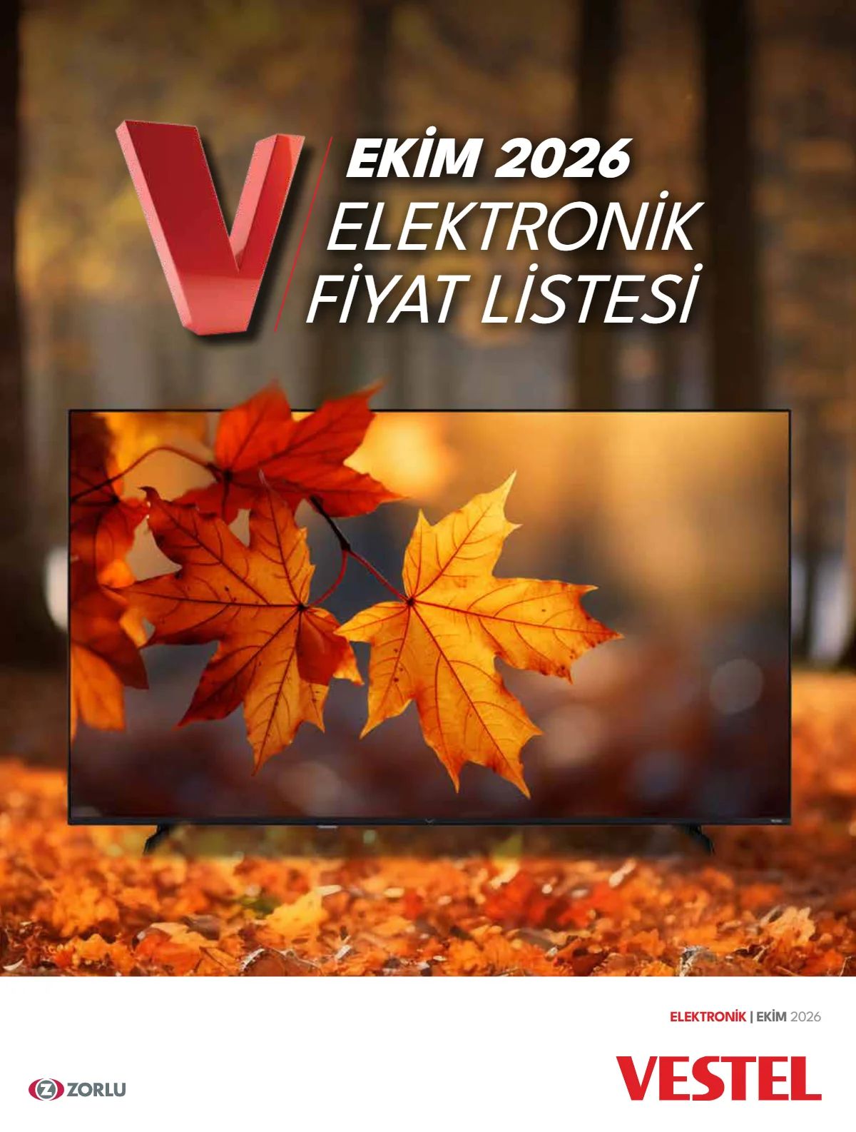 Vestel Vestel - Elektronik Kataloğu kapağı