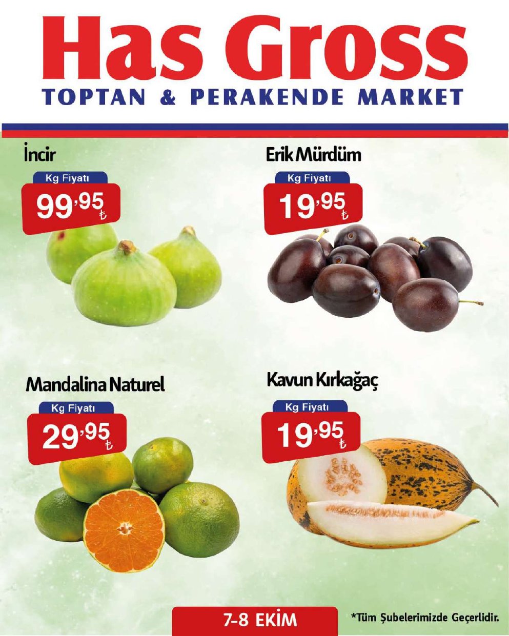 Has Gross Manav İndirim Kataloğu — 2. sayfa