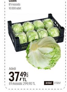 Göbek 8'li kasada