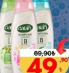 Dalan Şampuan Çeşitleri 450 ml