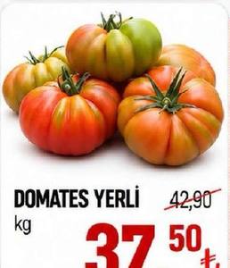 Domates Yerli