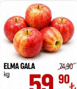 Elma Gala